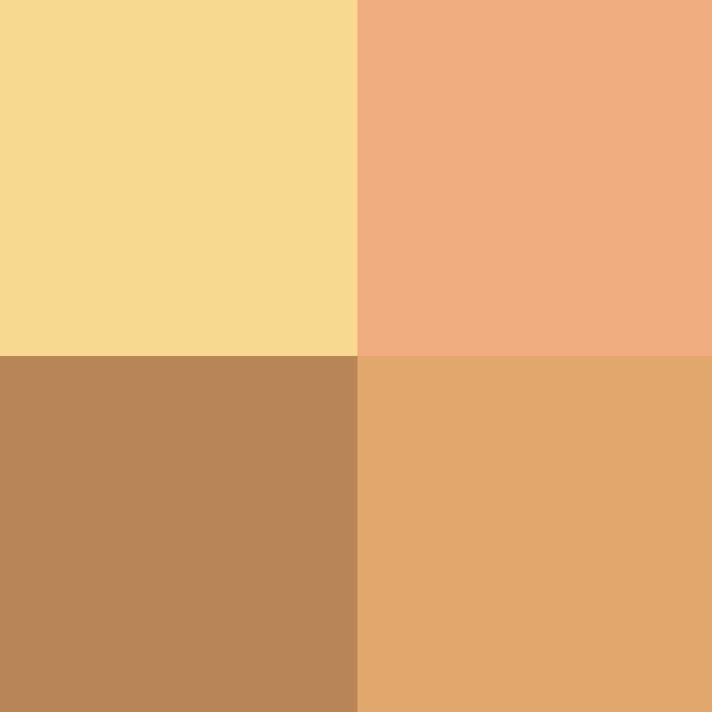 BELL HYPOALLERGENIC CAMOUFLAGE CONCEALER PALETTE 02 MEDIUM DARK